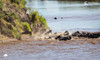 Tanzania Big Game Safari August 2028 