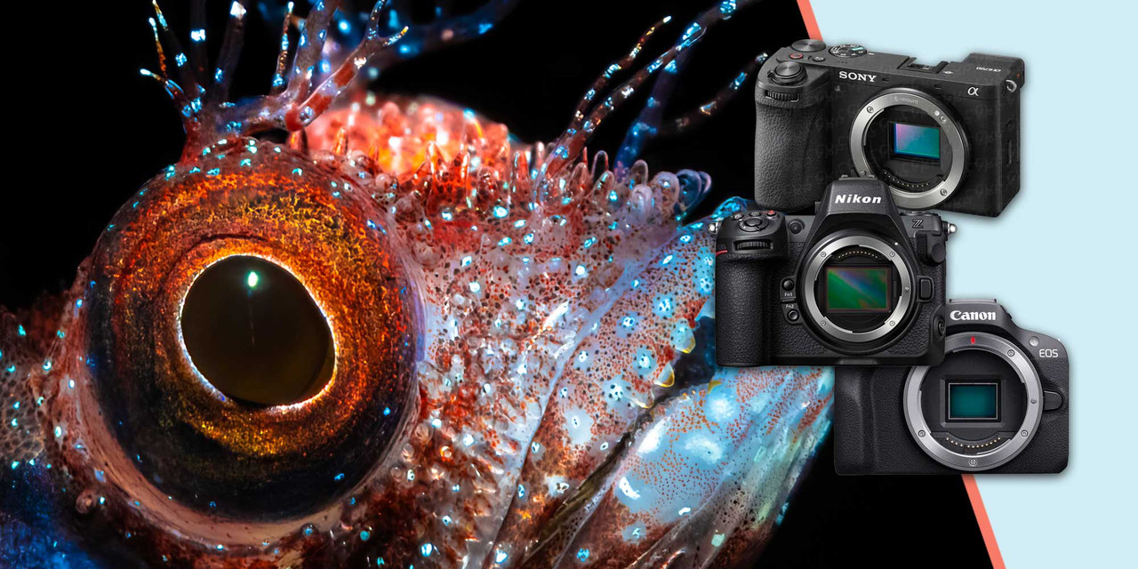 Underwater Photography Gear