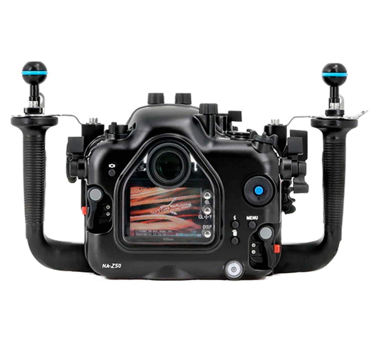 Nikon Z50 Underwater Review - Bluewater Photo