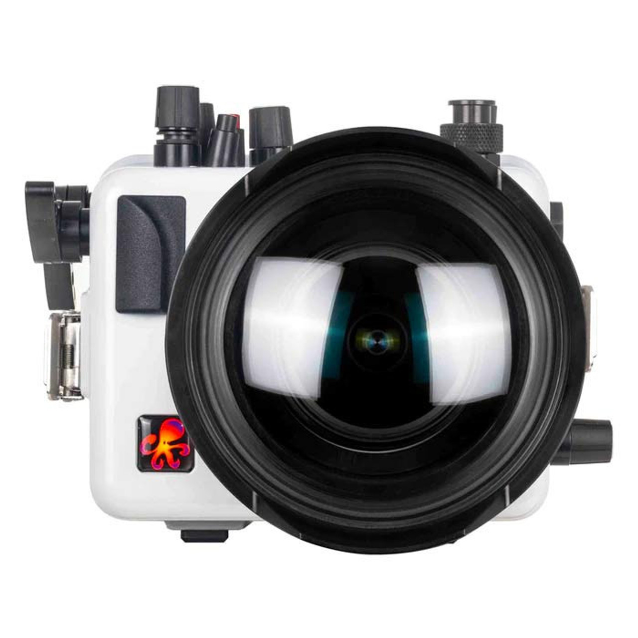 Ikelite Canon R8 Underwater Housing