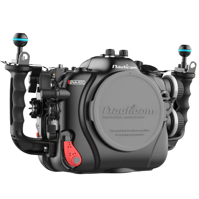 Canon R5c Canon R5 Review Dpreview Mirrorless Camera Canon R5 Back