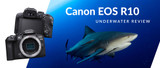 Canon EOS R10 Underwater Review