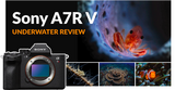 Sony A7R V Underwater Review