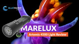 Marelux Artemis 4500 Underwater Video Light Review