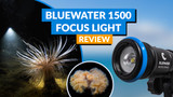 Bluewater 1500 Lumen Focus Light Review