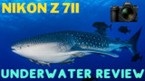 Nikon Z7II and Z6II Underwater Review