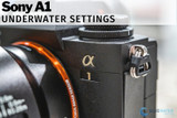 Sony A1 Underwater Settings