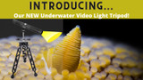 Introducing Our New Underwater Video Light Tripod