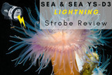 Sea & Sea YS-D3 Underwater Strobe Review