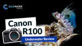 Canon R100 Underwater Review