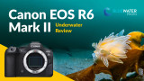 Canon R6 Mark II Underwater Review