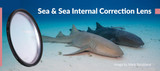 Sea & Sea Internal Correction Lens for Rectilinear Wide Lenses Review