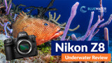 Nikon Z8 Underwater Review