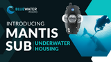 Introducing Mantis Sub: The World's First 8K Stereoscopic Underwater VR System