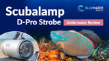 Scubalamp D-Pro Strobe Review