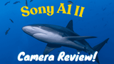 Sony A1 II Underwater Review