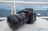 Sony A7R VI Underwater Review