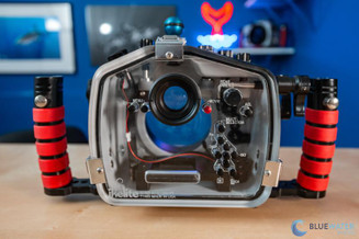 Sony A1 II Underwater Settings