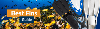 The Best Scuba Fins in 2025