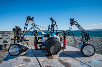 The Top Sony A7V Underwater Settings