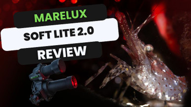 Marelux SOFT Lite 2.0 Underwater Snoot Review