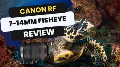 Canon RF 7-14mm f/2.8-3.5L Fisheye Lens Review