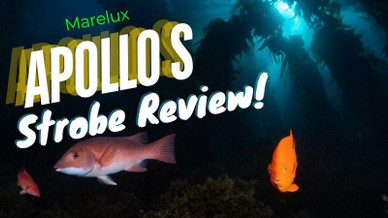 Marelux Apollo S Underwater Strobe Review
