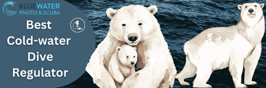 Best Cold Water Regulator for 2025