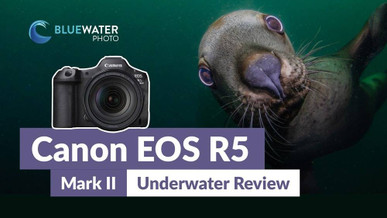 Canon R5 Mark II Underwater Review