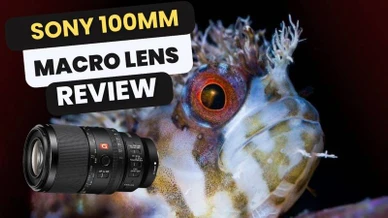 Sony 100mm Macro Lens Review
