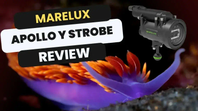 Marelux Apollo Y Strobe & Video Light Review