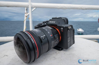 Sony A7R VI Underwater Review