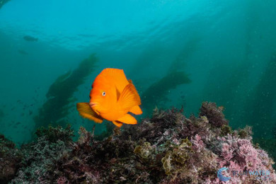 Introducing the NEW Bluewater 3000