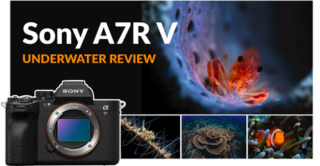 Exciting & Outstanding New Sony Alpha 7R V