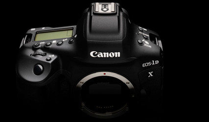 Canon EOS-1DX Mark III Underwater: Initial Thoughts and Review