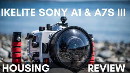 Ikelite Sony A1 & A7S III Underwater Housing Review