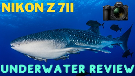 Nikon Z7II and Z6II Underwater Review