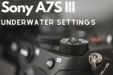 Sony A7S III Review - Underwater Photography Guide