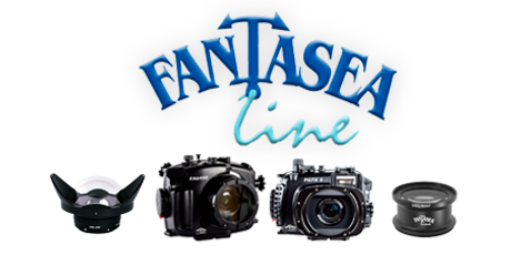 Fantasea Summer Sale - G7X Mark II and RX100 VI