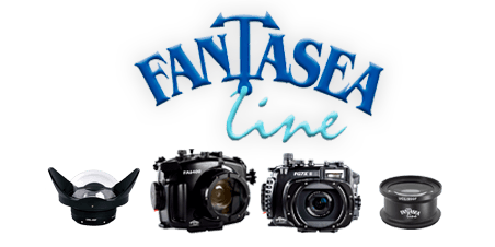 Fantasea Summer Sale - G7X Mark II and RX100 VI