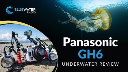 Panasonic GH6 Underwater Camera Review