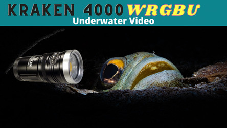 Underwater Video with the Kraken Hydra 4000 WRGBU Video Light