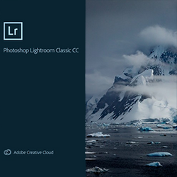 Lightroom Custom White Balance Tutorial for Underwater Photography