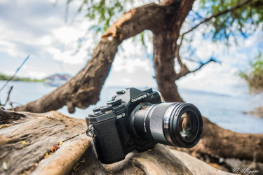 Olympus OM-D E-M5 Mark III Underwater Review