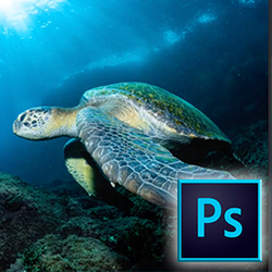 How to Remove Backscatter Quickly with Photoshop