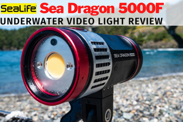 Sea Dragon 5000F Underwater Video Light Review