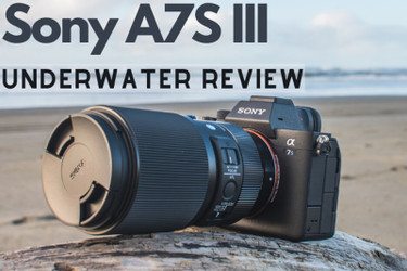 Why You're Probably Going to Buy the Sony a7S III