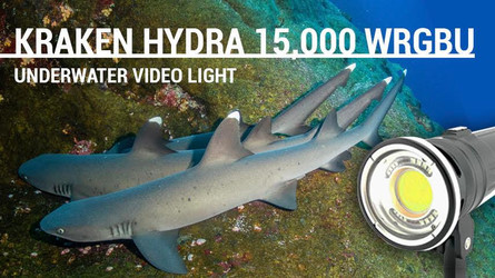 Kraken Hydra 15000 WRGBU Underwater Video Light Review