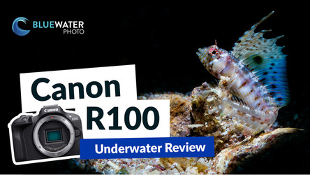 Canon R100 Underwater Review