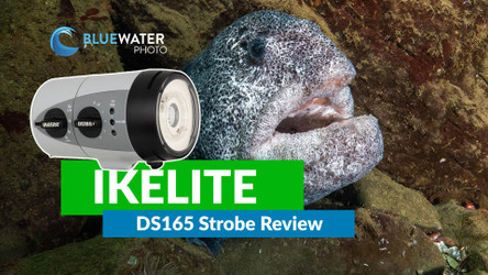 Ikelite DS165 Underwater Strobe Review